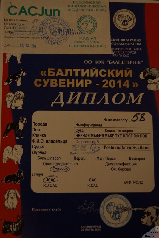 Фотография № 150190