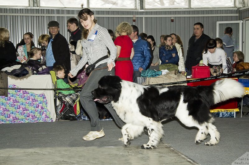 Фотография № 150214