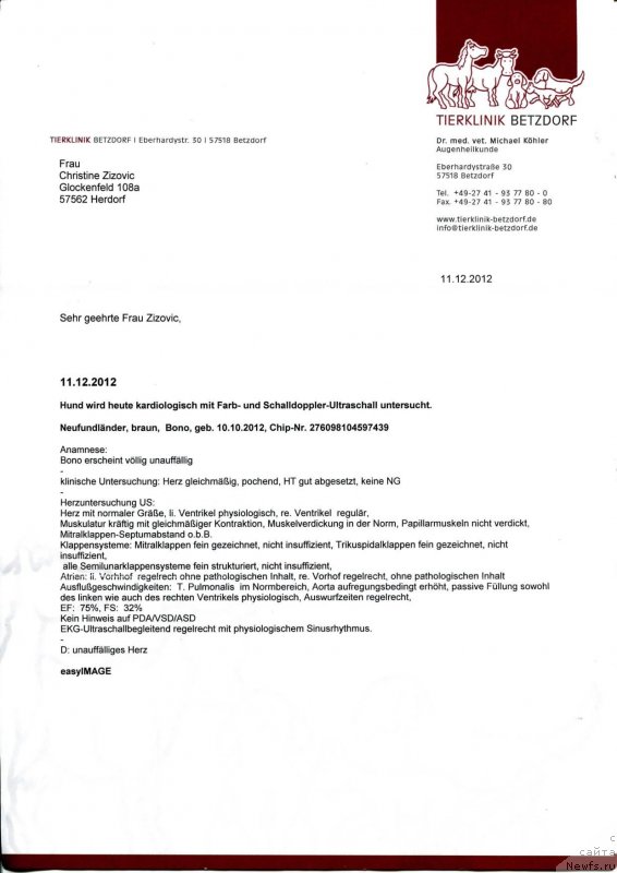 Фотография № 150217