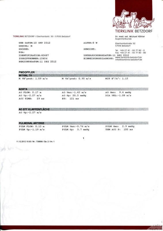 Фотография № 150218