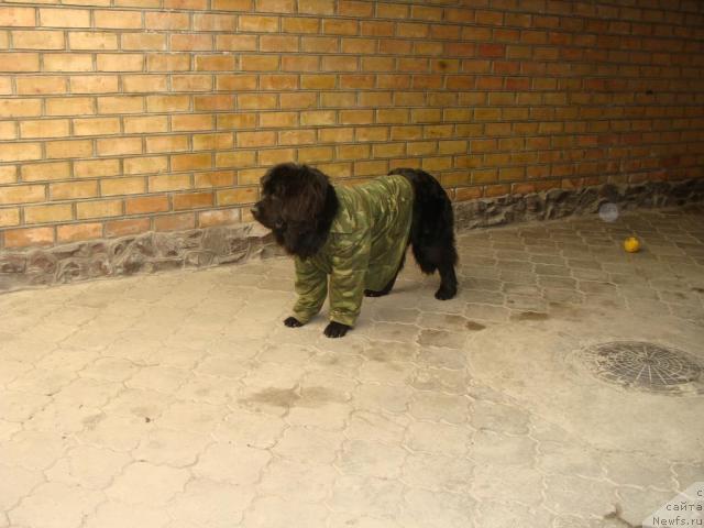 Фотография № 15022