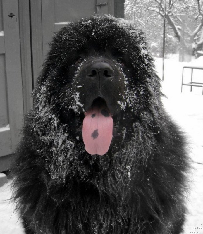 Фотография № 150252