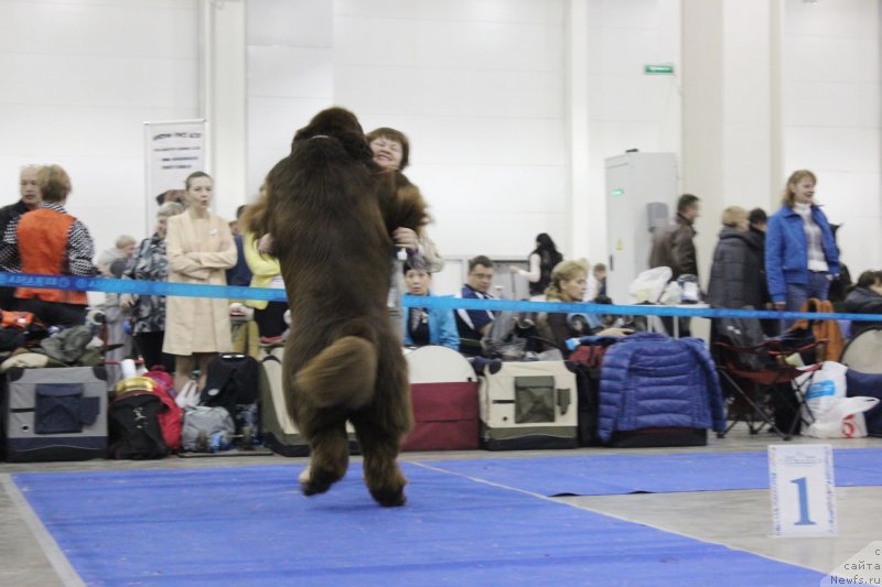 Фотография № 150254