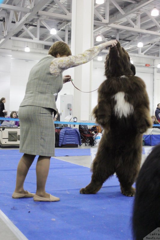 Фотография № 150255