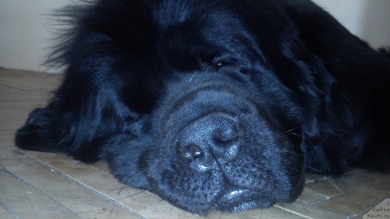 Фотография № 150334