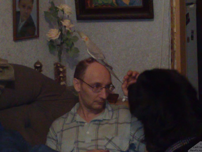 Фото: Игорь Гречишкин