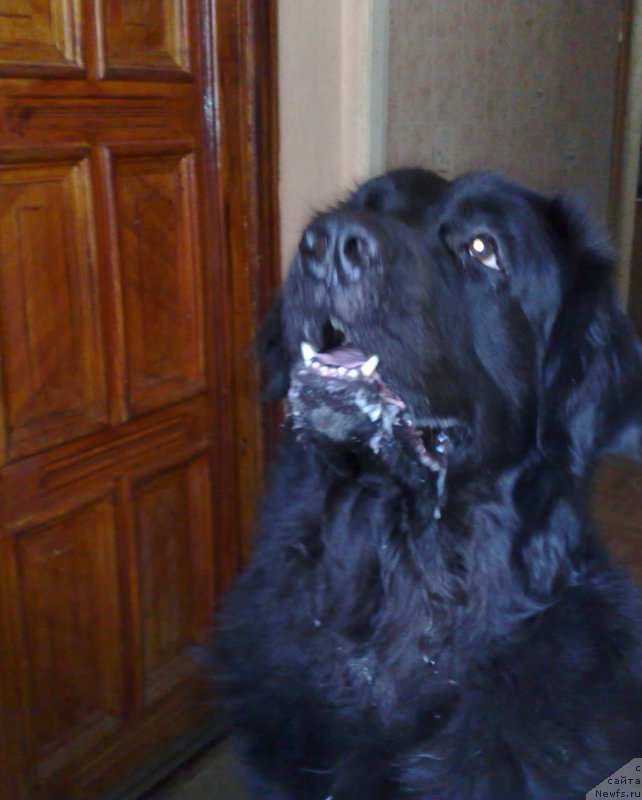 Фото: Игорь Гречишкин