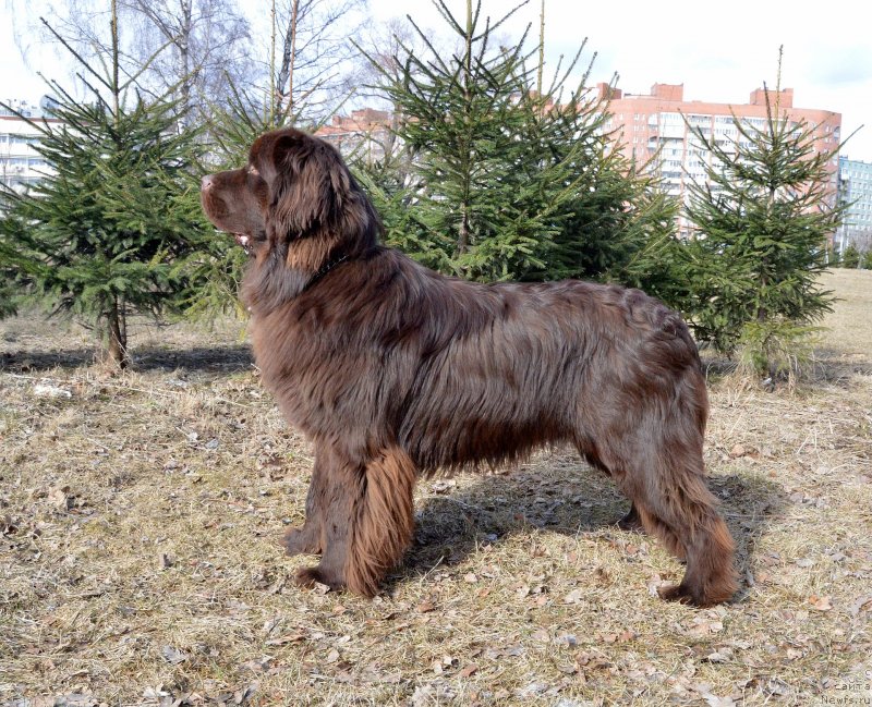 Фотография № 150399