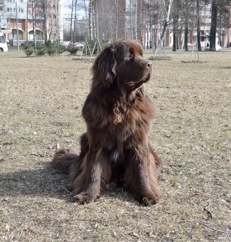 Фотография № 150401