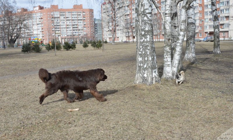 Фотография № 150404