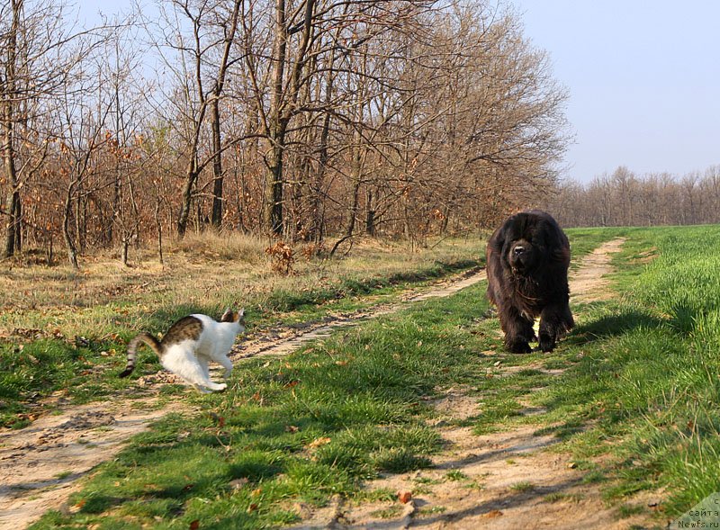 Фотография № 150414