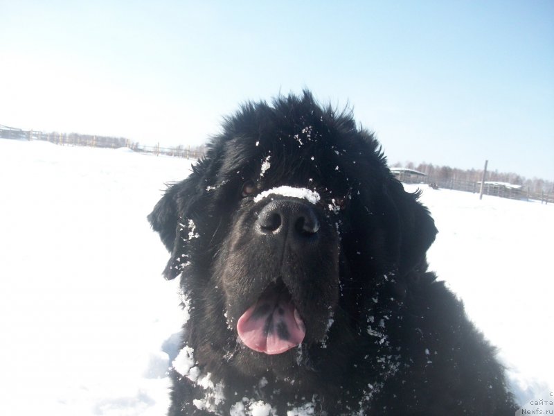 Фотография № 150477