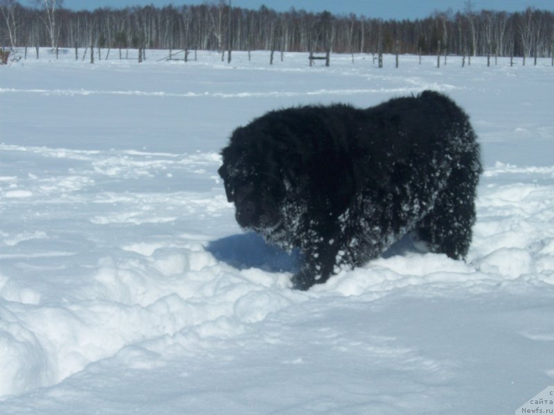 Фотография № 150478