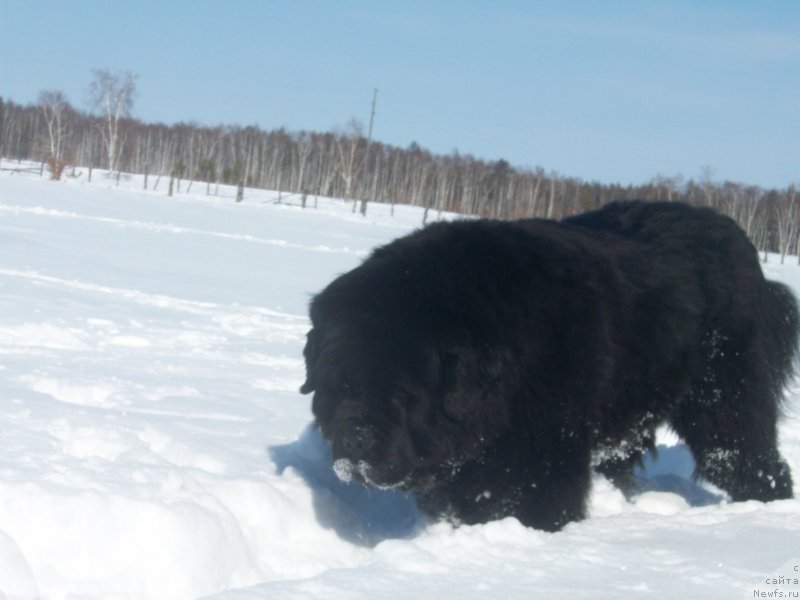 Фотография № 150481