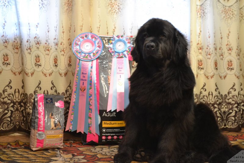 Фотография № 150505