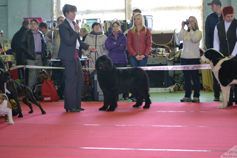 Фотография № 150507