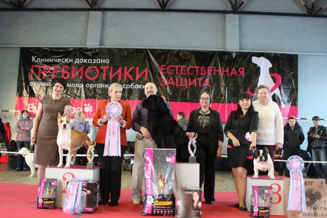 Фотография № 150525