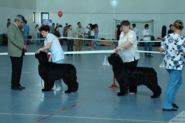 Фотография № 15053