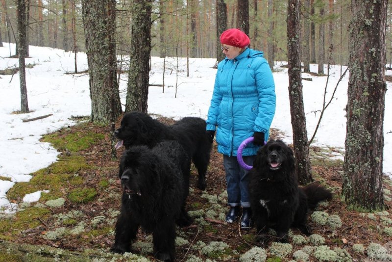 Фото: ньюфаундленд Акин Соул София, Елена Левченко, ньюфаундленд Кайден Плейфул (Kaiden Playful), Лора
