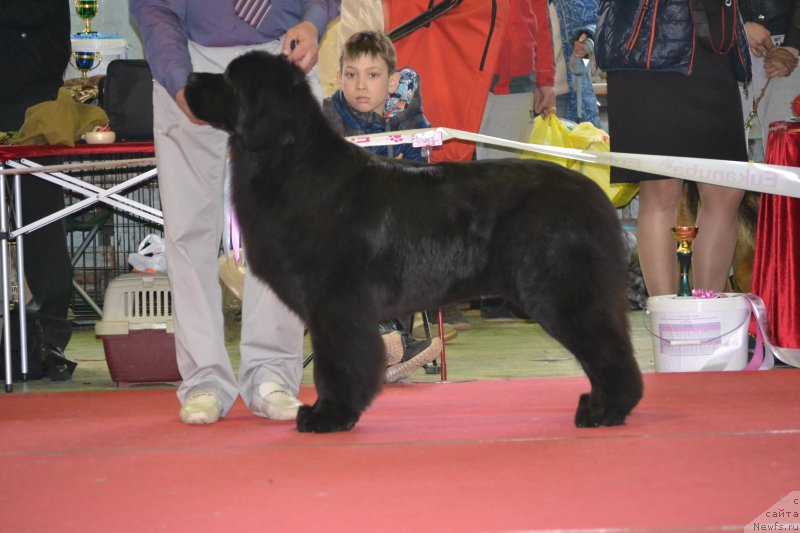 Фотография № 150554