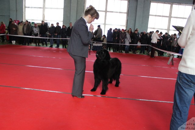 Фотография № 150555