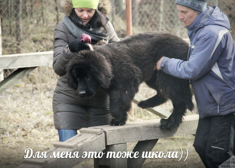 Фото: Бегущая по волнам Ринг оф Фаер