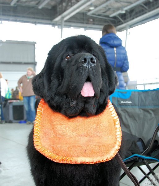 Фотография № 150595