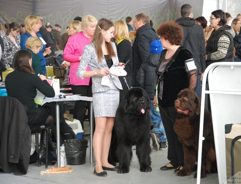 Фотография № 150596