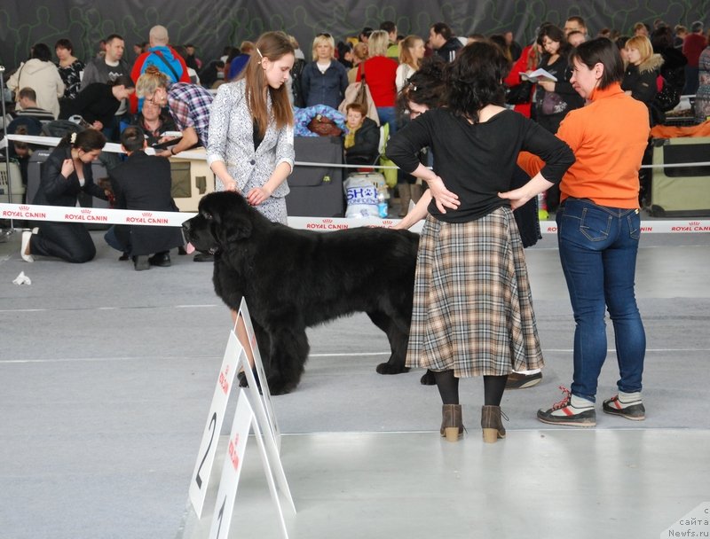 Фотография № 150597