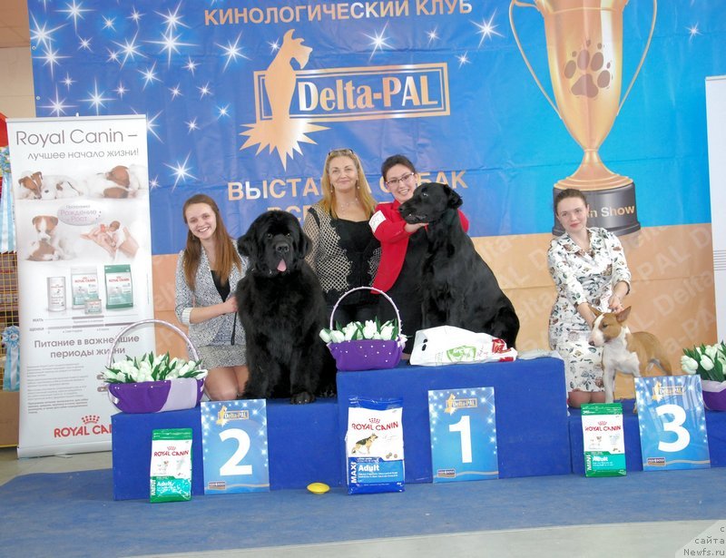 Фотография № 150598