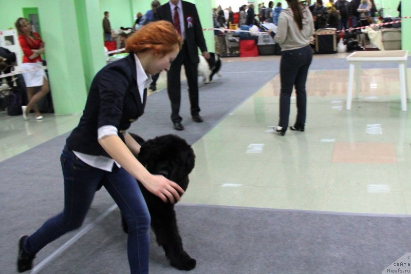 Фотография № 150622