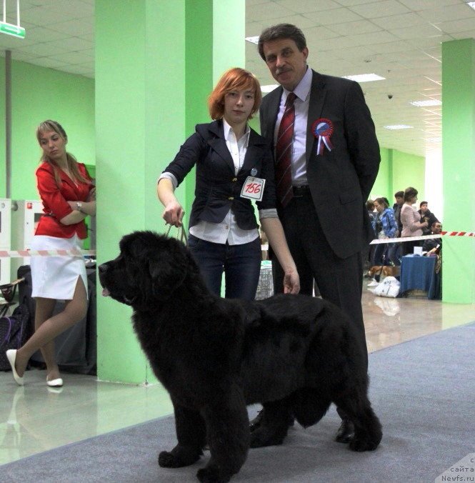 Фотография № 150624