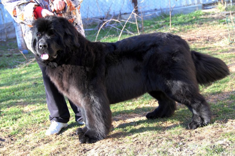 Фотография № 150628