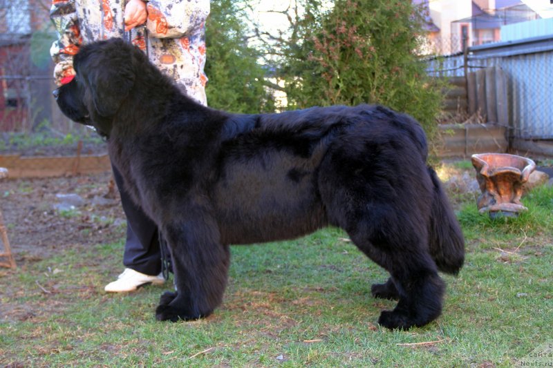 Фотография № 150629