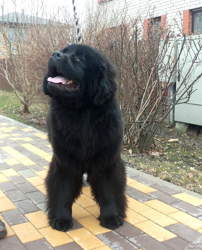 Фотография № 150639