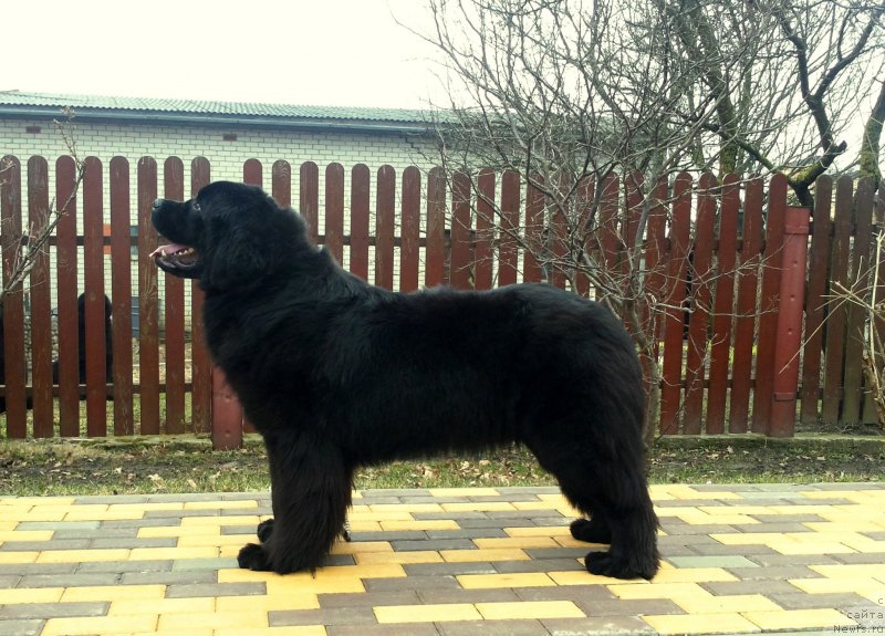 Фотография № 150641