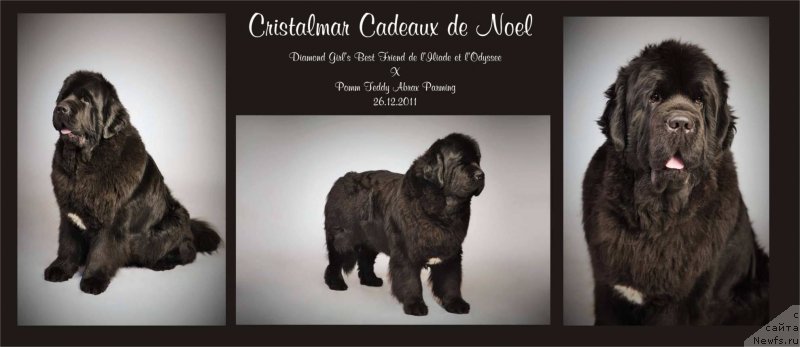 Фотография № 150660