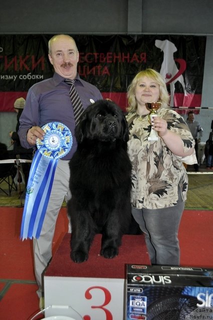 Фотография № 150663