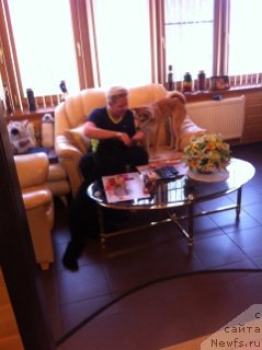 Фото: ньюфаундленд Эка Краля с Берега Дона (Eka Kralja s Berega Dona)