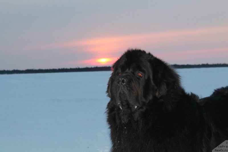 Фотография № 150698