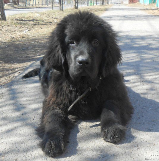 Фотография № 150759