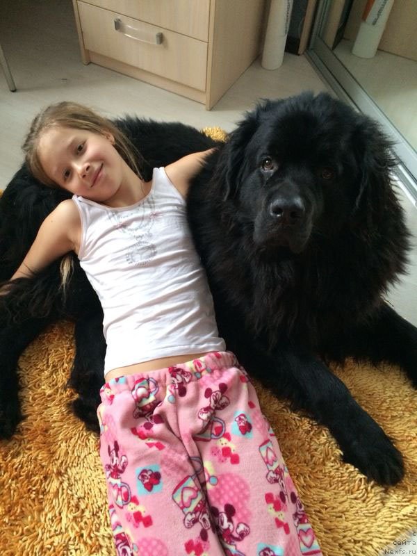 Фотография № 150776