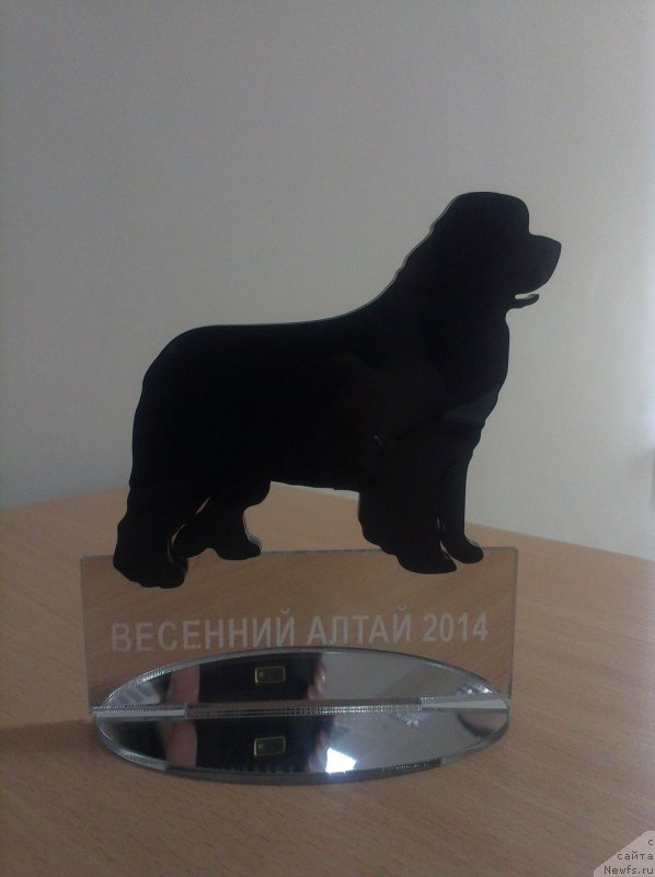 Фотография № 150814