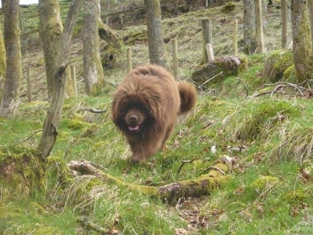 Фотография № 150887