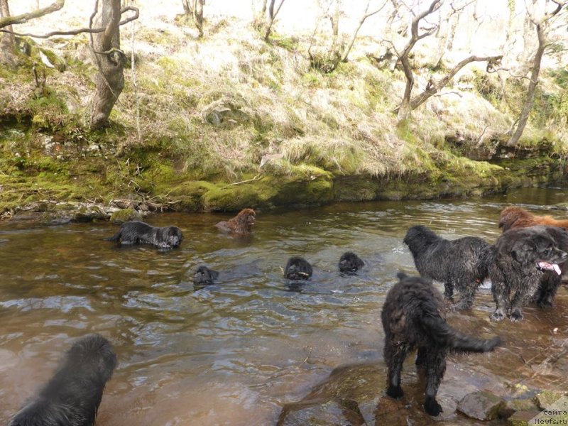 Фотография № 150888