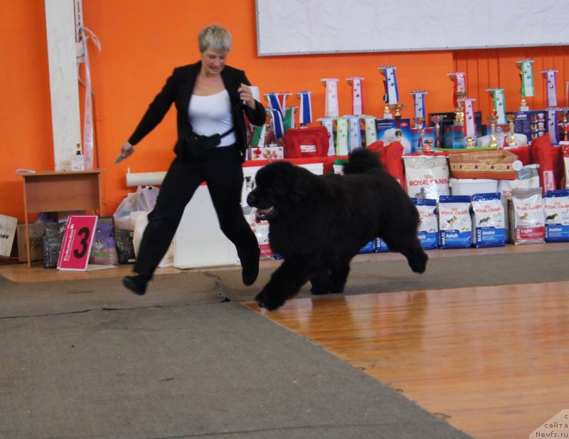 Фотография № 150889