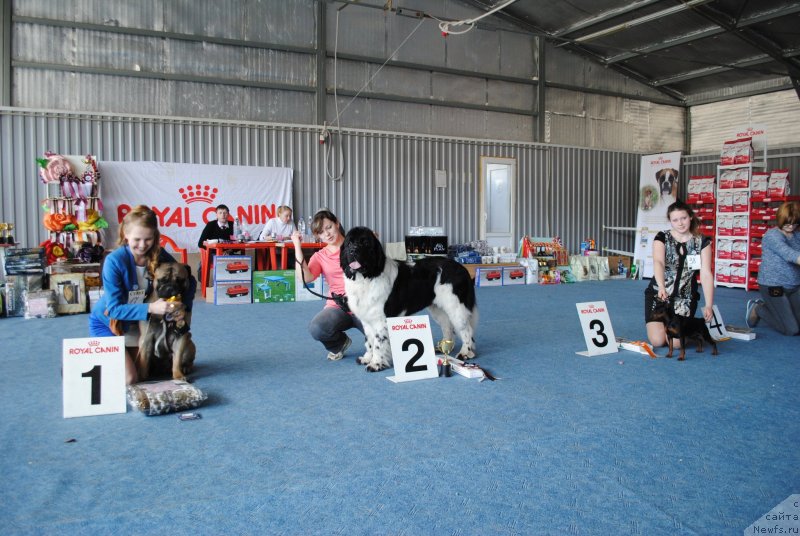 Фотография № 150891