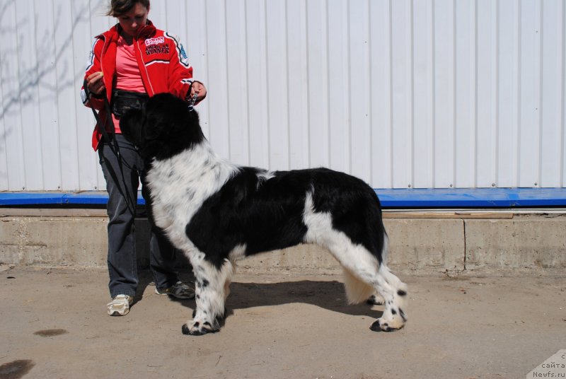 Фотография № 150894