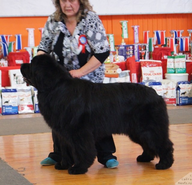 Фотография № 150901