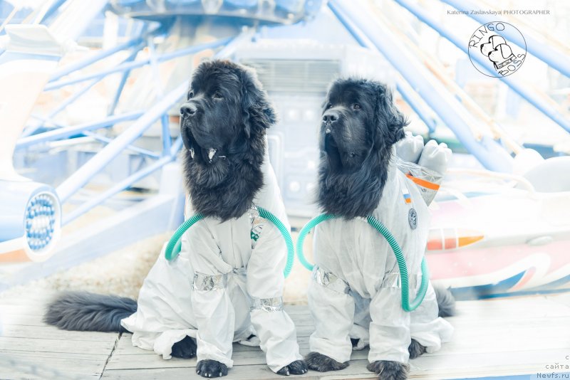 Фотография № 150903